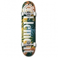 Skateboard Element MONSTERA